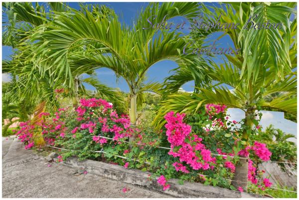 À vendre - Sainte-Luce Martinique - Propriété 5 logements indépendants - 241 m² habitables - Vue mer - P10