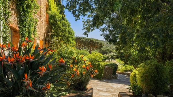 Domaine provençal d’exception aux portes de Saint-Tropez