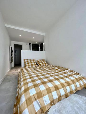 Spécial investisseur immeuble hyper centre Pau 7 pièces et roof top