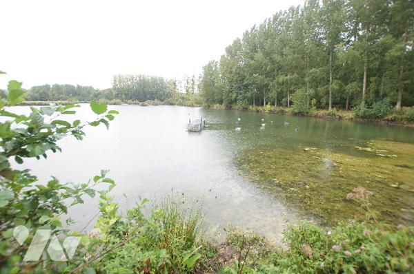 Plan d'eau d'environ 2ha 80a