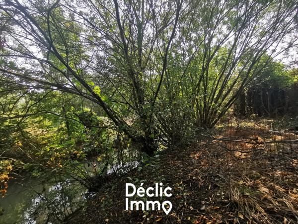 Vente fermette Damvix, 65m² 1379m² 3 pièces 90 000€