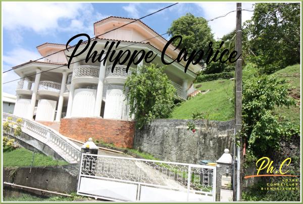 Maison 176 m² à vendre 8 pièces sur 2 niveaux - FORT DE FRANCE (972)