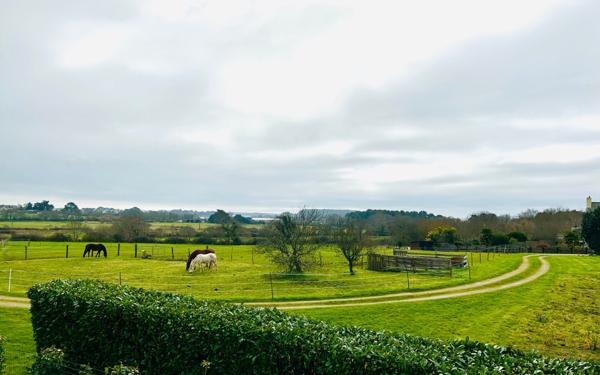 Maison à vendre    5 pièces • 136 m2 Séné