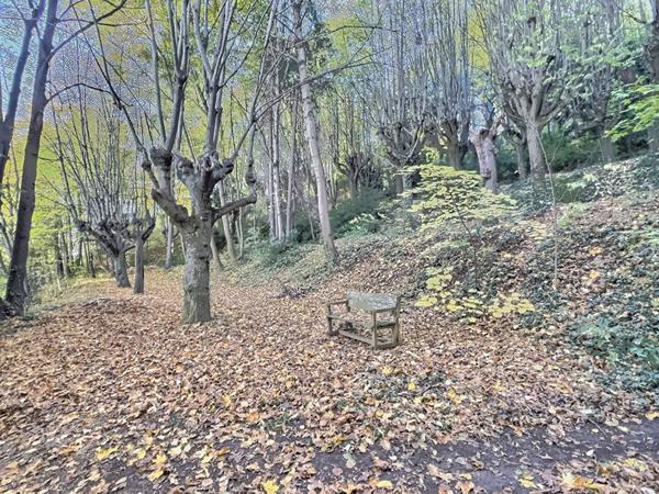 Appartement à vendre à Chamalieres 