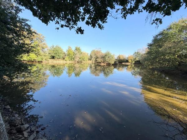 Achat - Terrain de loisirs, bois, étangs | Étang Alençon 61000 30 m 2 14156 m 2
