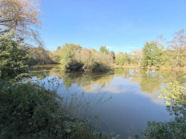 Achat - Terrain de loisirs, bois, étangs | Étang Alençon 61000 30 m 2 14156 m 2