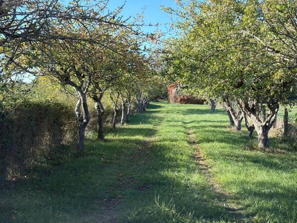 Achat - Terrain de loisirs, bois, étangs | Étang Alençon 61000 30 m 2 14156 m 2
