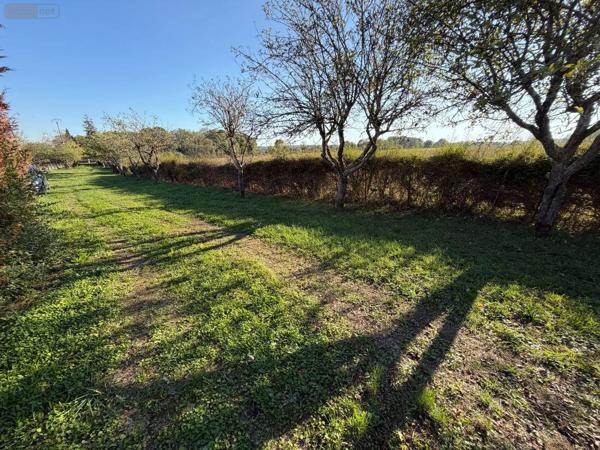 Achat - Terrain de loisirs, bois, étangs | Étang Alençon 61000 30 m 2 14156 m 2