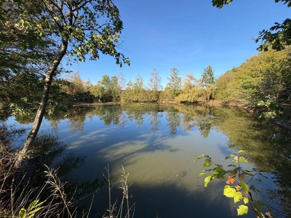 Achat - Terrain de loisirs, bois, étangs | Étang Alençon 61000 30 m 2 14156 m 2