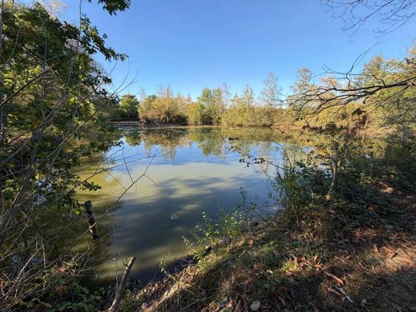 Achat - Terrain de loisirs, bois, étangs | Étang Alençon 61000 30 m 2 14156 m 2