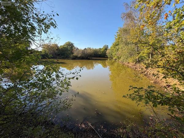 Achat - Terrain de loisirs, bois, étangs | Étang Alençon 61000 30 m 2 14156 m 2