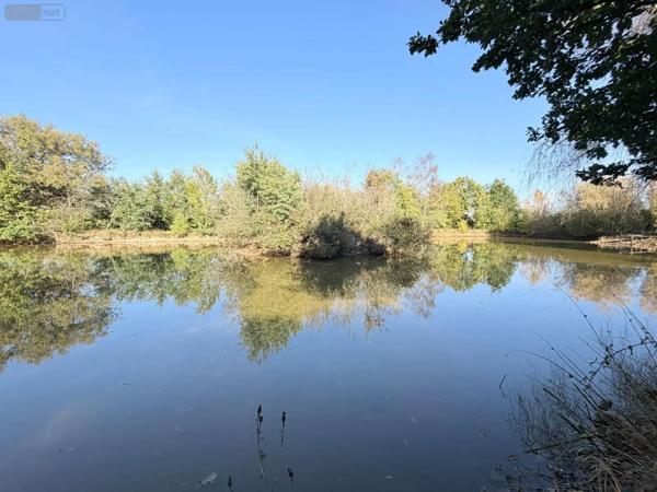 Achat - Terrain de loisirs, bois, étangs | Étang Alençon 61000 30 m 2 14156 m 2