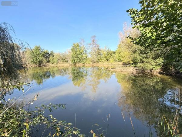Achat - Terrain de loisirs, bois, étangs | Étang Alençon 61000 30 m 2 14156 m 2