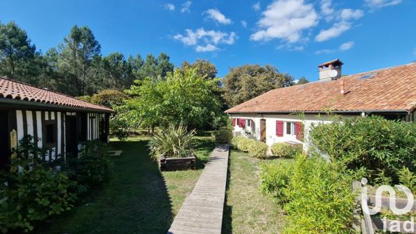 Maison à vendre 9 pièces 255 m² Parentis-en-Born