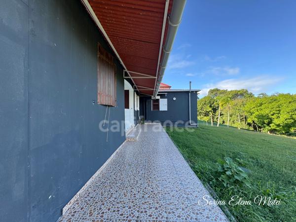 Maison à vendre 9 pièces (971)