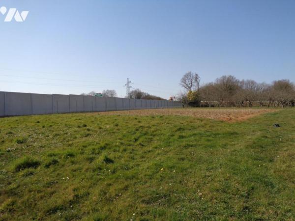 TAB 1261 m² dont 600 m² constructible non viabilisé exposé sud
