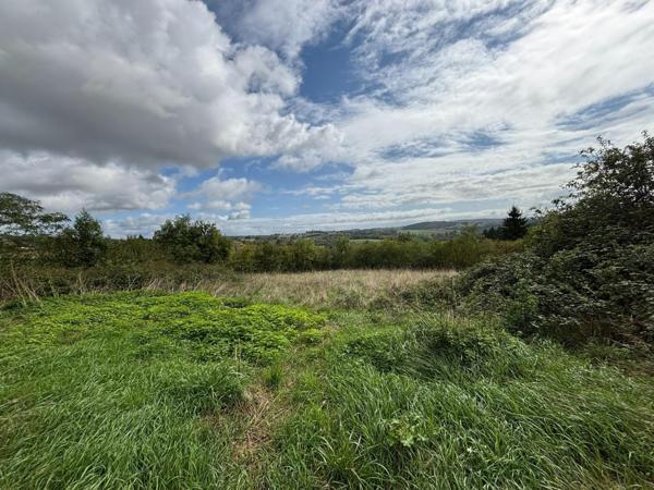 Petite maison avec dépendances et beau terrain