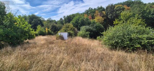 Achat - Maison | Pavillon Chéniers 23220 4 pièces 70 m 2 1436 m 2