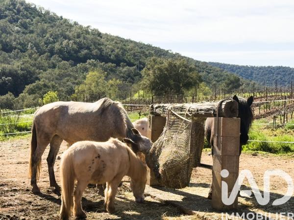 Maison à vendre 6 pièces 131 m² Collobrières