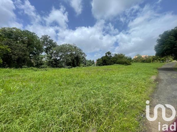 Terrain à vendre 1 992 m² Le Lamentin