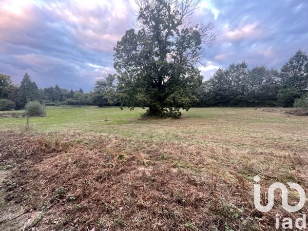 Terrain à vendre 9 331 m² Couzeix