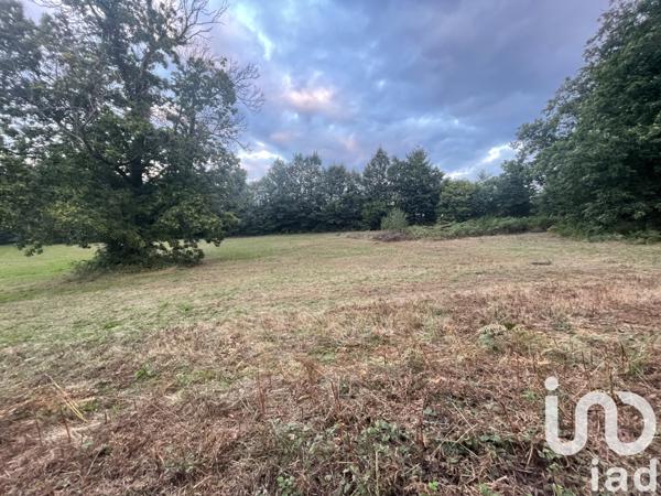 Terrain à vendre 9 331 m² Couzeix
