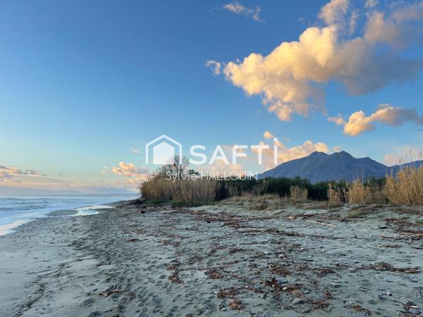 Appartement T3 bord de mer 44m² terrasse vue Mer