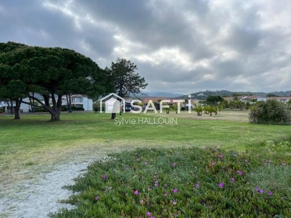 Appartement T3 bord de mer 44m² terrasse vue Mer