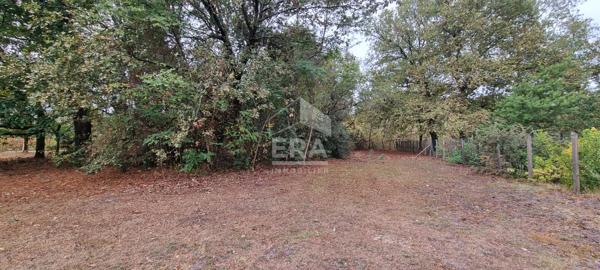 LE TAILLAN MEDOC - Terrain constructible 572 m2 - Lotissement - Libre de constructeur