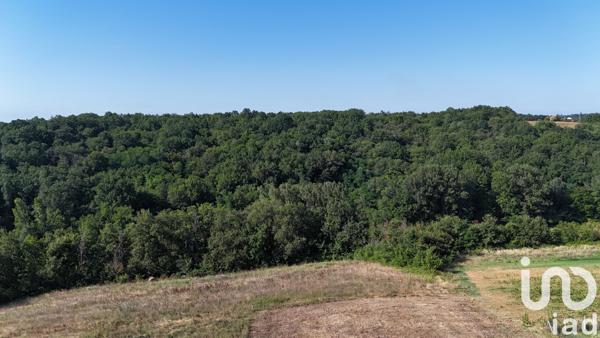 Terrain à vendre 1 798 m² Durfort-Lacapelette