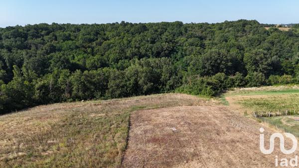 Terrain à vendre 1 798 m² Durfort-Lacapelette