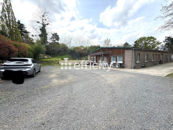 Appartement 4 pièces - 80 m² Exclusivité efficity