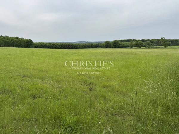 Magnifique domaine de 150Ha de près et forêts pres de Chatellerault