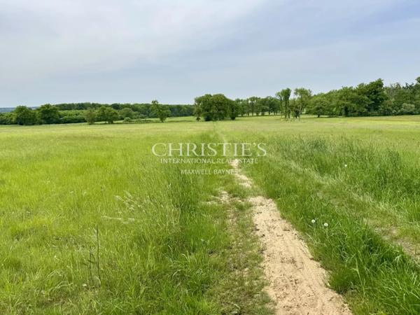 Magnifique domaine de 150Ha de près et forêts pres de Chatellerault
