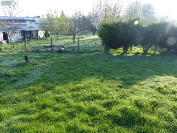 Maison à vendre à Marconne dans le Pas-de-Calais (62140), ref : 083/1169