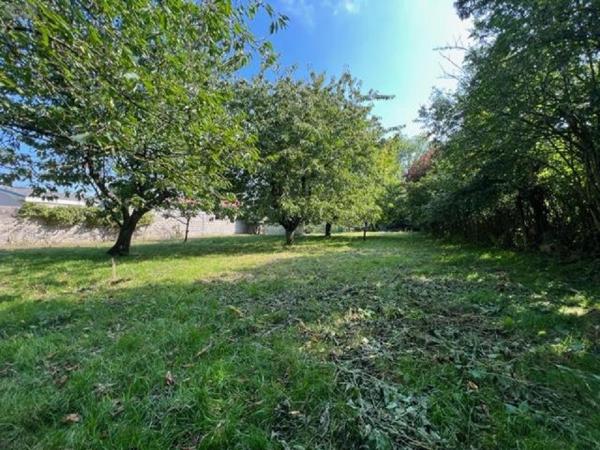 Maison à vendre à Marconne dans le Pas-de-Calais (62140), ref : 083/1169