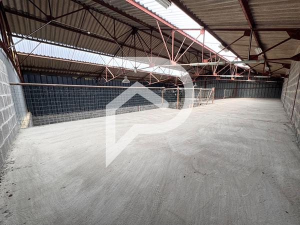 Entrepôt / Local industriel 587 m2