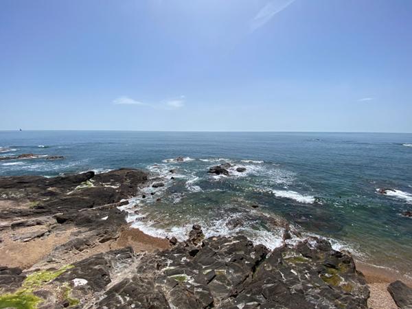 Côte sauvage Appartement T3 face mer avec accès direct plage