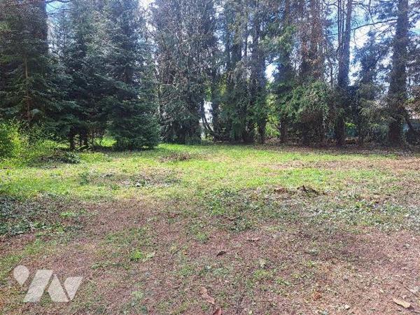 Terrain constructible borné de 885 m² viabilisé en eau, électricité; assainissement individuel ...