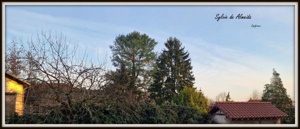 Maison à vendre 4 pièces BAGE LE CHATEL (01) proche Mâcon, 103 m² environ, garage