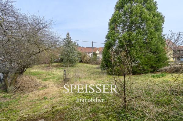 Terrain constructible