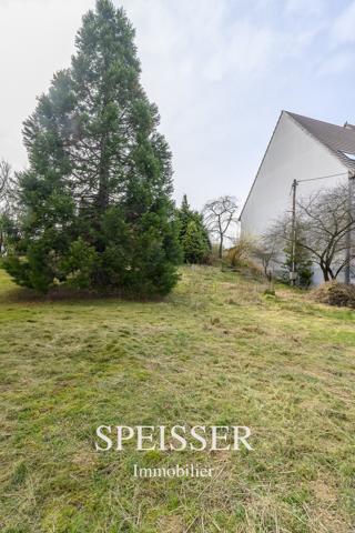 Terrain constructible