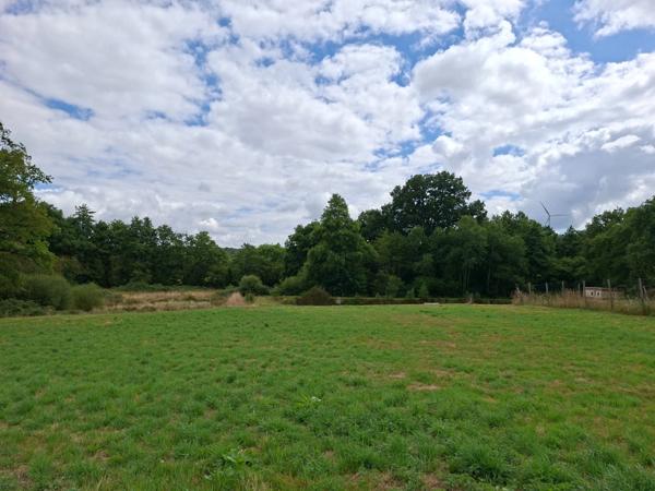 Grange , maisonnette, en pierre, brute à rénover, sur terrain de 10 000 m2 avec étang et Mobil Home. Proche Villaines la Juhel, Pré en Pail , Mayenne.
