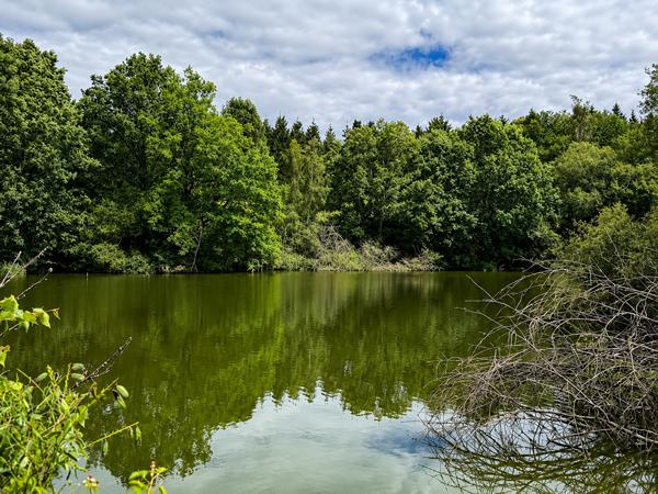 Maison à vendre à Izé (53160) - Mayenne
