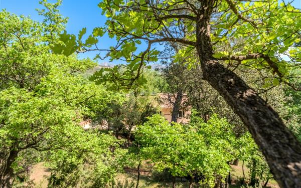 Domaine à vendre à Rousset à 15 minutes d'Aix-en-Provence - 8 000 m² - plusieurs logements - 262 m² habitables - calme absolu - amoureux de la nature