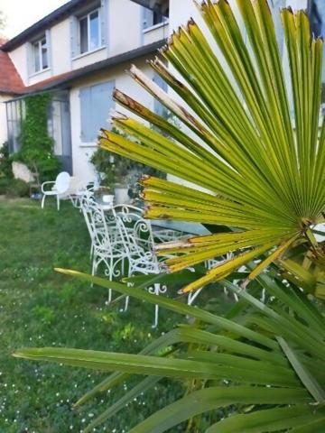 Maison 4 ch au calme / clos de mur