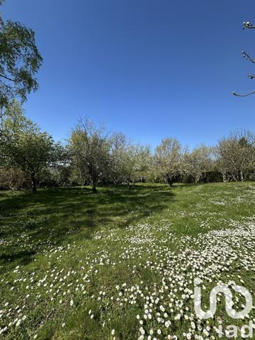 Maison à vendre 11 pièces 378 m² Souppes-sur-Loing