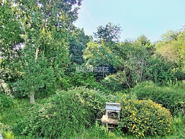 Authentique maison en pierre entre Dinard et Plouër-sur-Rance - Un havre de paix à deux pas de la Rance