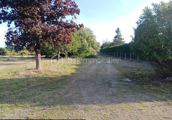 Terrain de loisirs de 10 113 m²