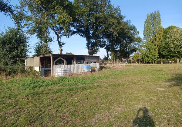 Terrain de loisirs de 10 113 m²